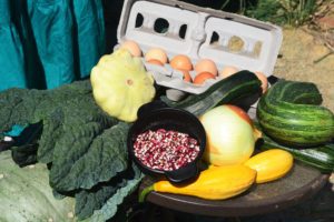 fresh food donations