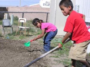 Perfect Storm on the Navajo Nation
